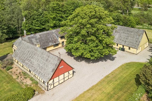 estate