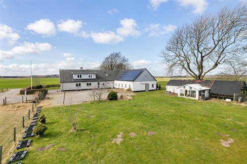 estate