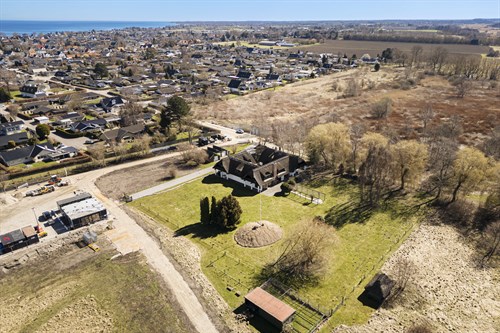 estate