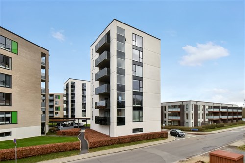 estate