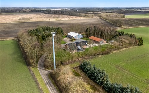 estate