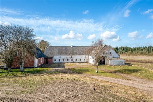 estate