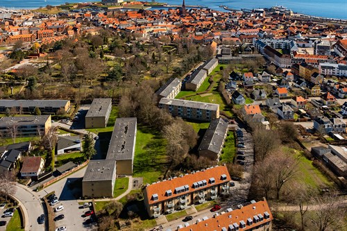 estate