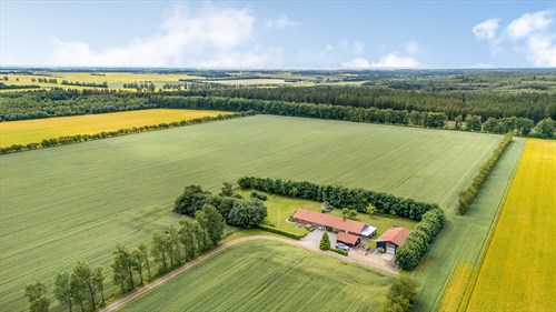 estate