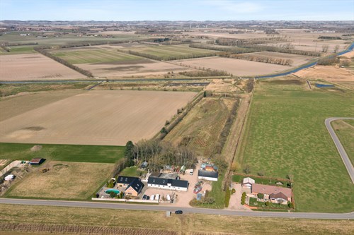 estate