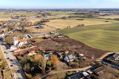 estate