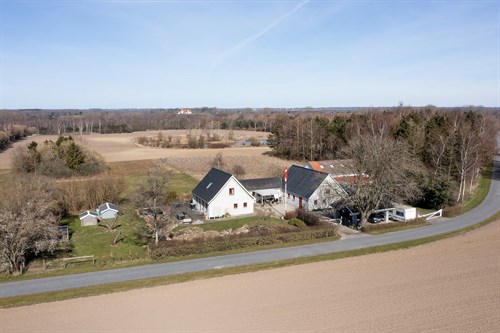 estate