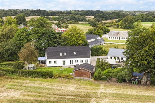 estate