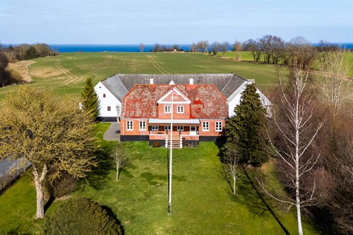 estate