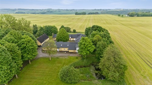 estate