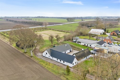estate