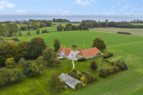 estate