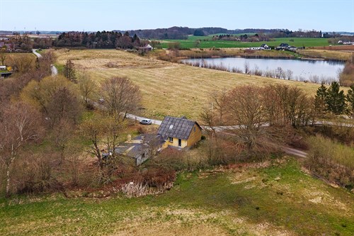 estate