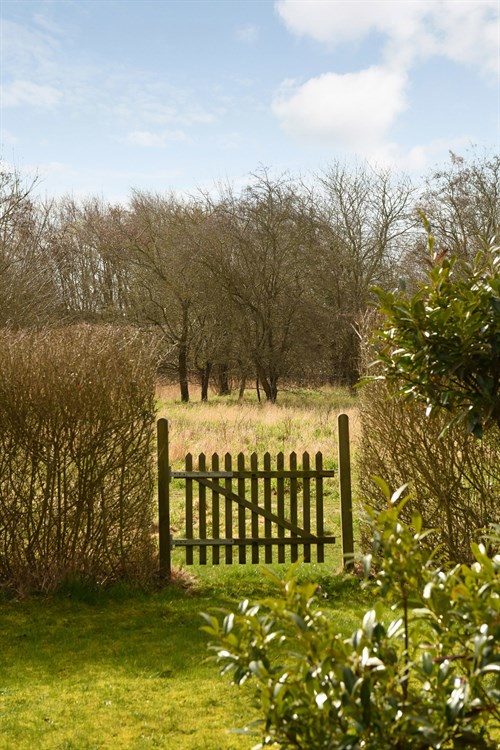 estate