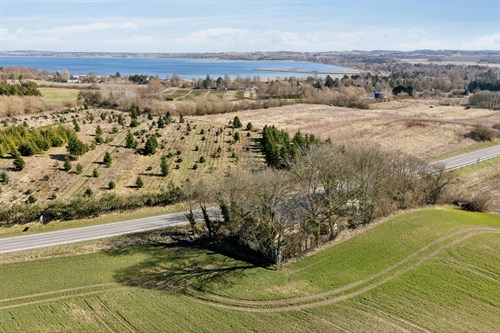 estate