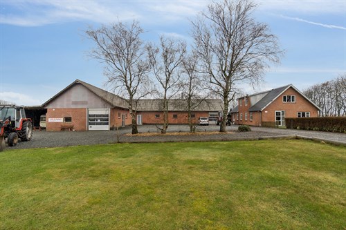 estate