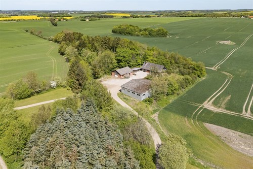 estate