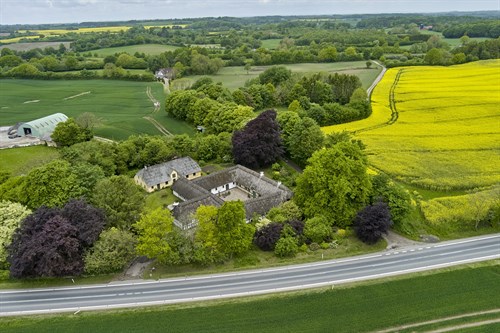 estate