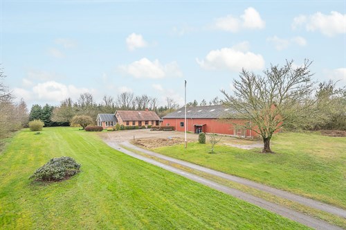 estate