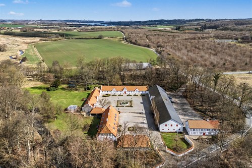 estate