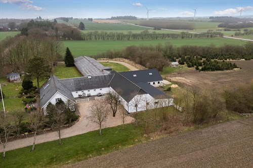estate