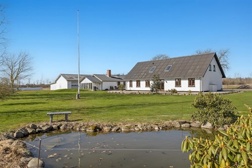 estate