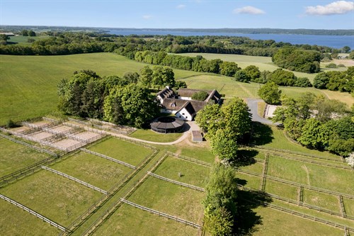 estate