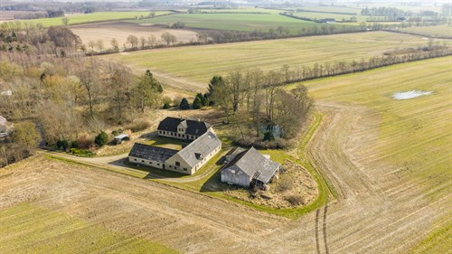 estate
