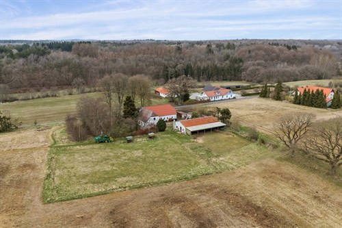 estate