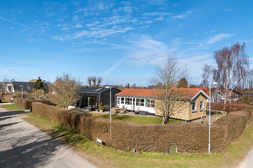 estate