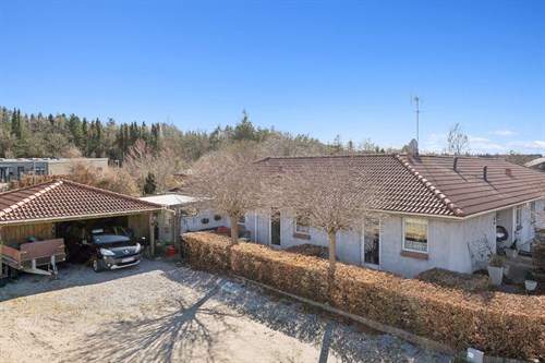 estate
