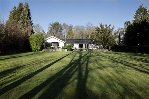 estate