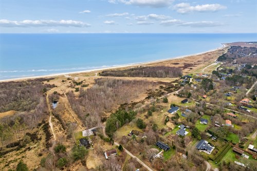 estate
