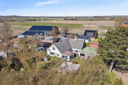 estate