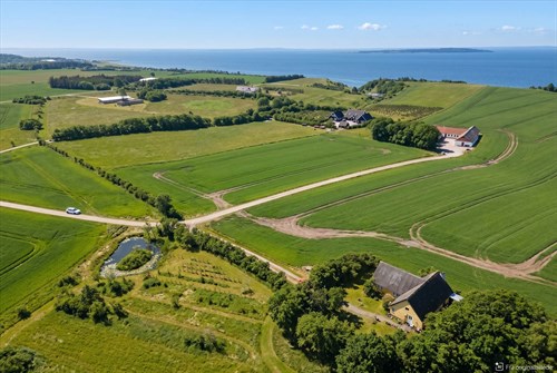 estate