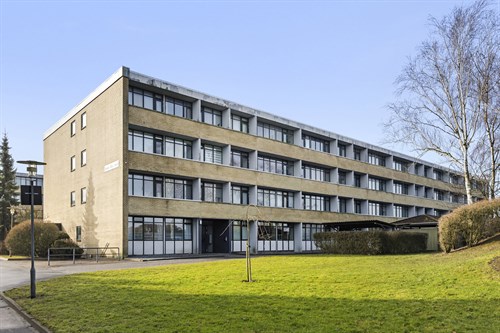 estate