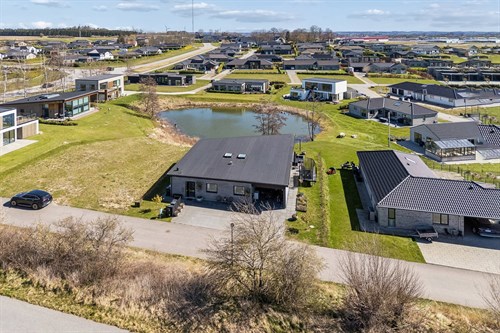 estate