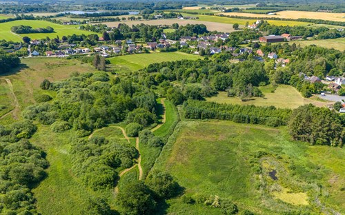 estate