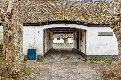 estate