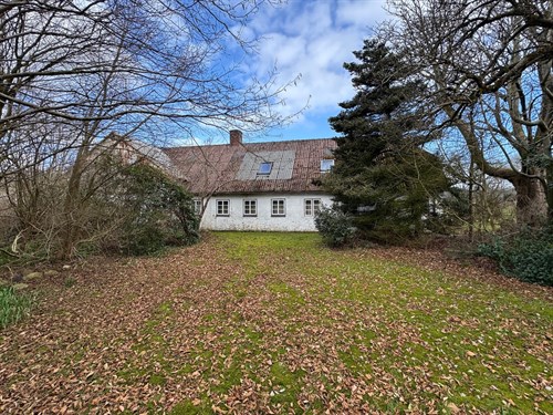 estate