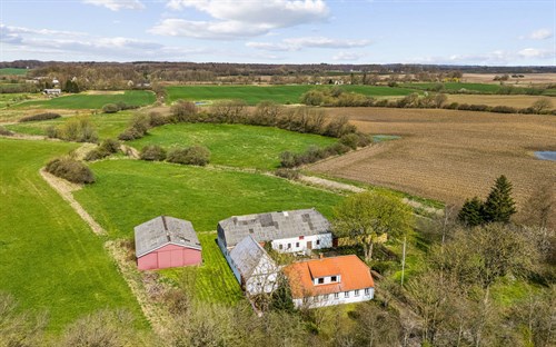 estate
