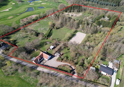 estate