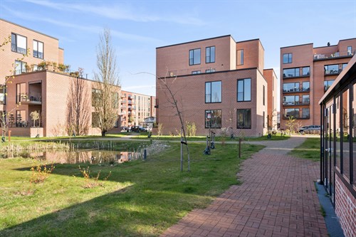 estate