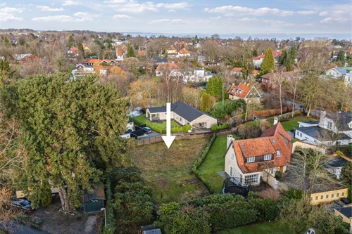 estate