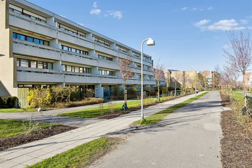estate