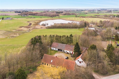 estate