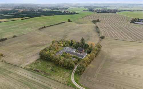 estate