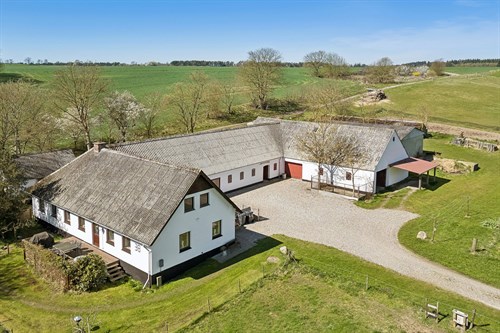 estate