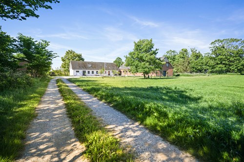 estate