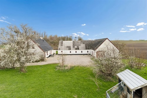 estate